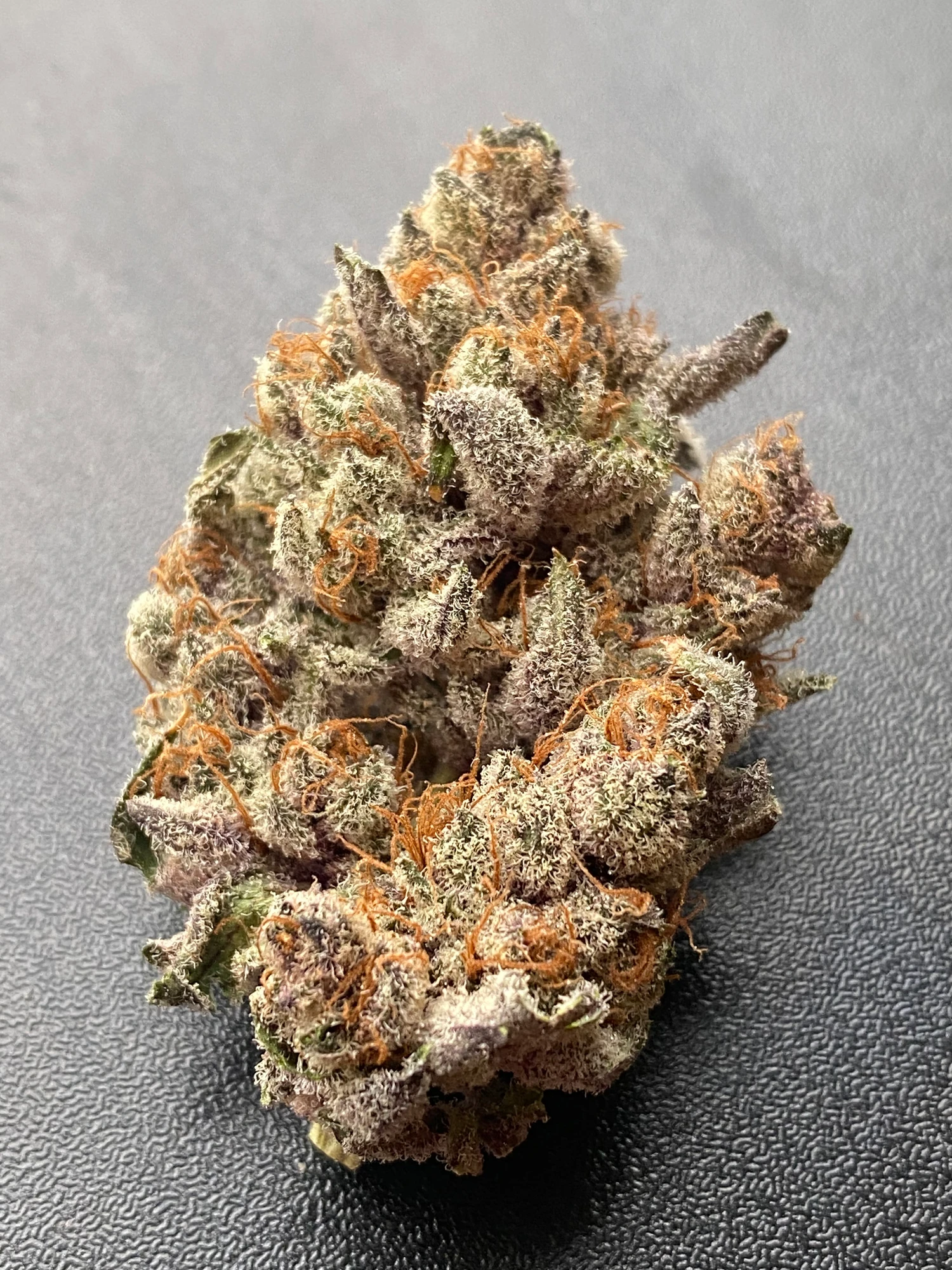 Apple Fritter