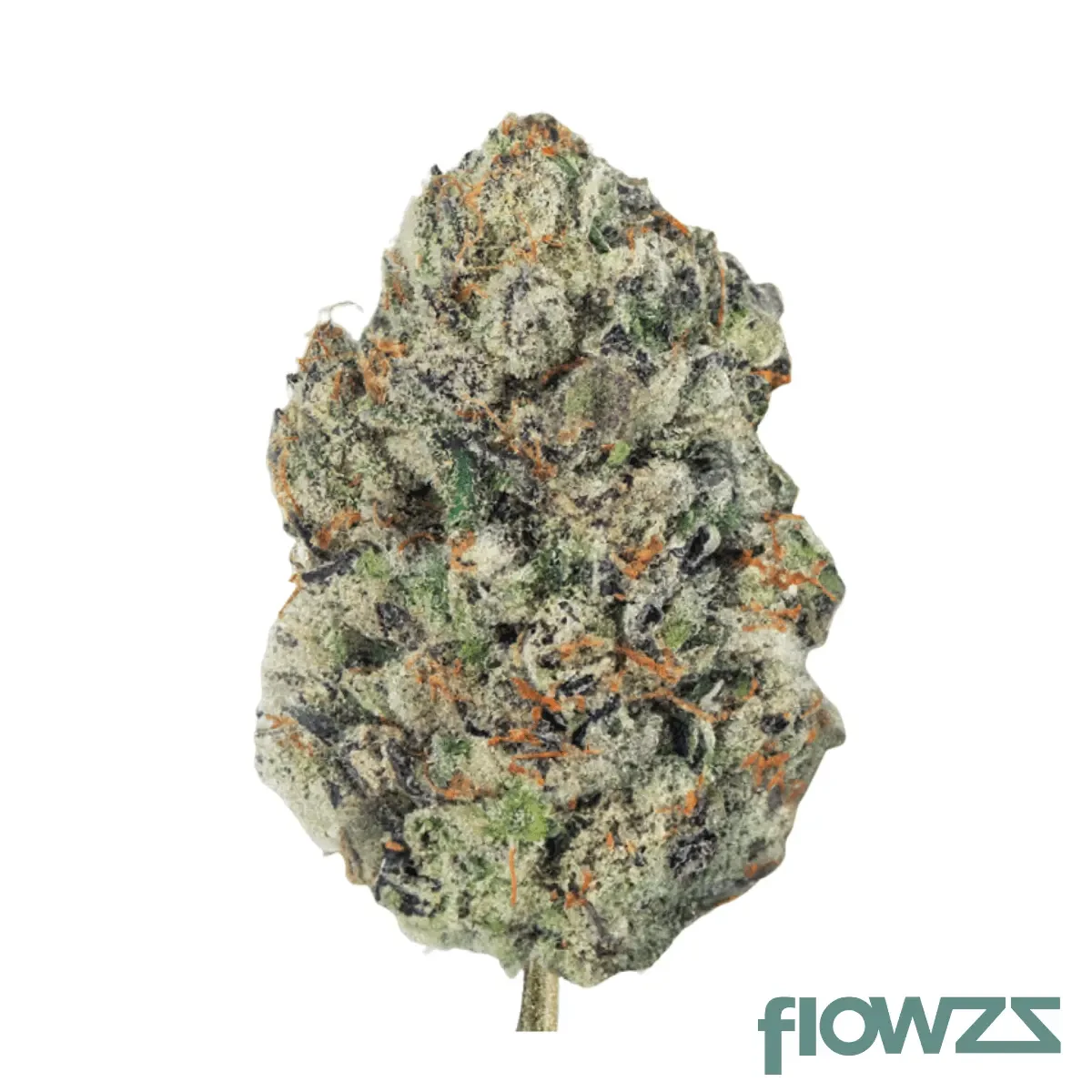 Rose Gold Runtz - Seed Junkies