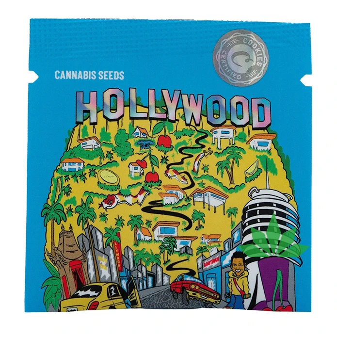 White Runtz x Hollywood