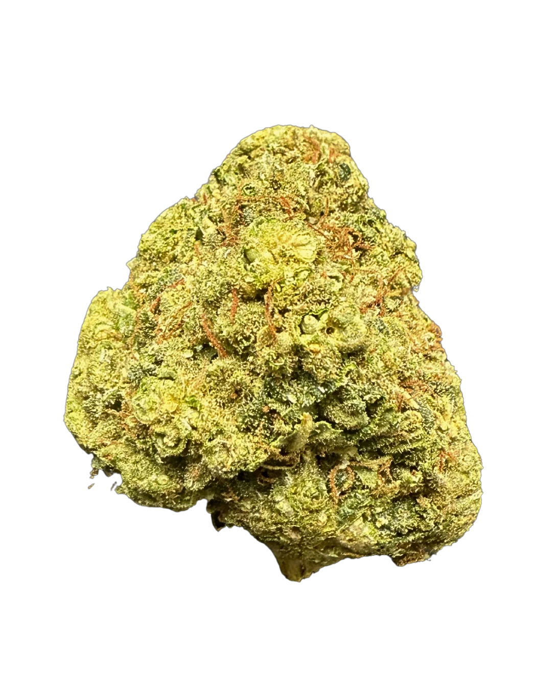 Gelato #41