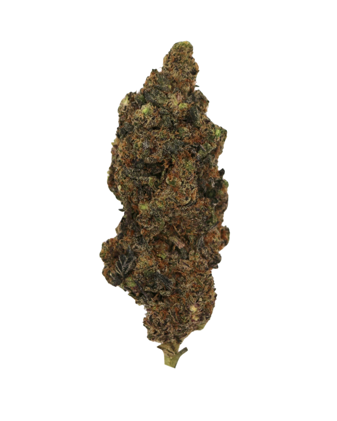 Gorilla Zkittlez