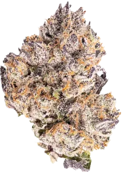 Runtz OG