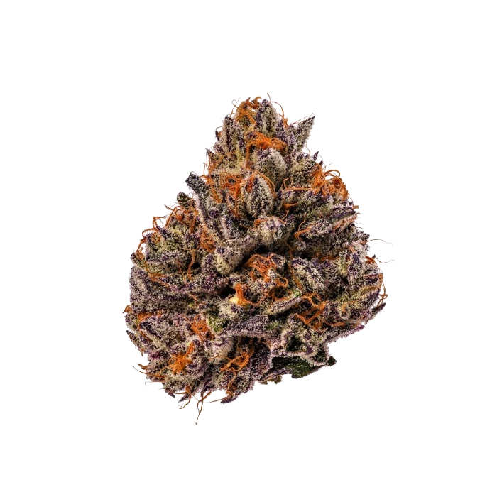 Tropicana Cherry Triploid F1