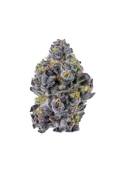 Sticky Wasabi Triploid F1