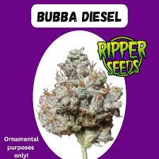 Bubba Diesel