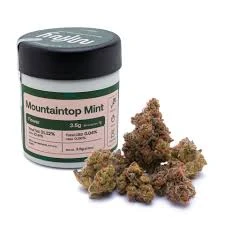 Mountaintop Mint #2