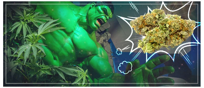 Bruce Banner