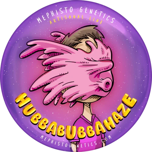 Hubbabubbahaze Auto