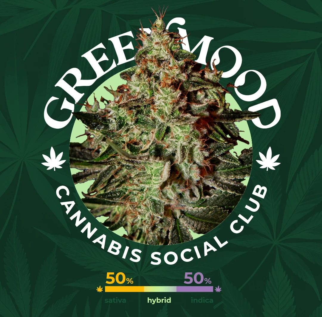 Lemon Skunk - aktuell im Sortiment