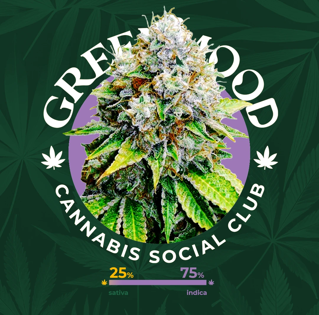 O.G. Kush - aktuell im Sortiment