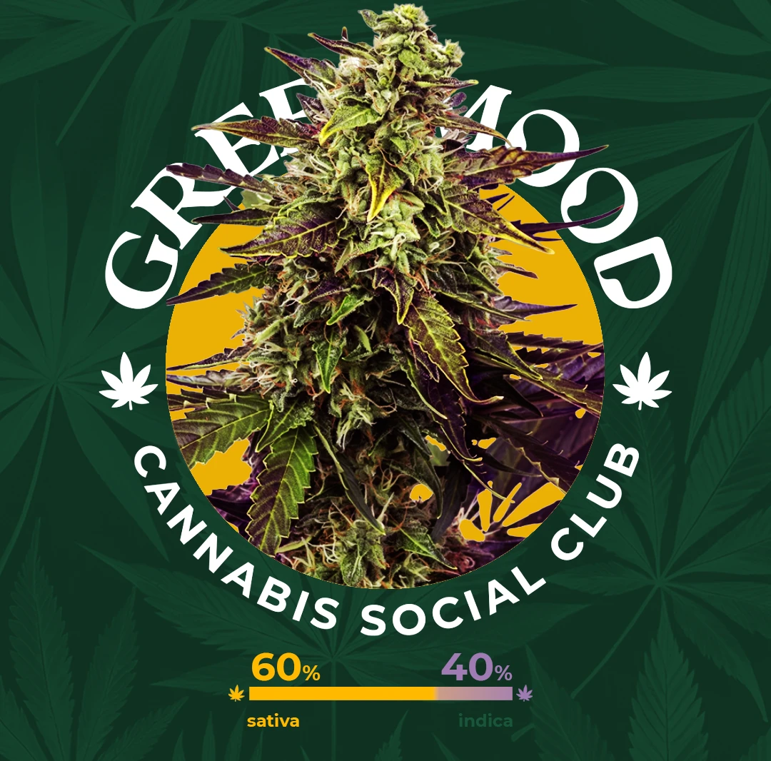 Cereal Milk - verfügbar