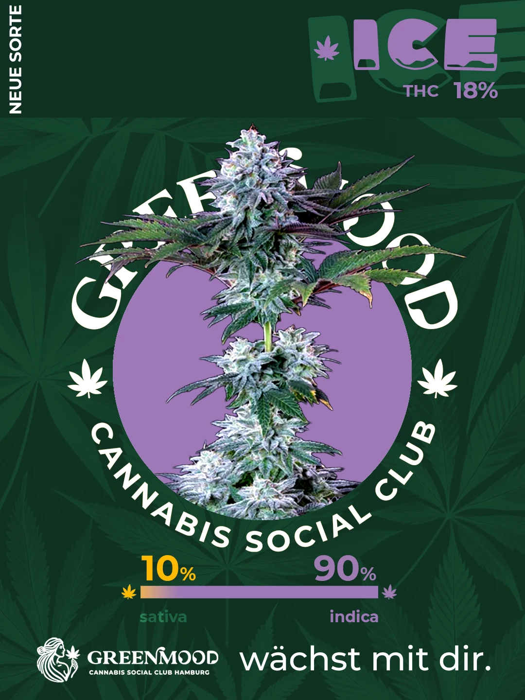 Ice - bald verfügbar