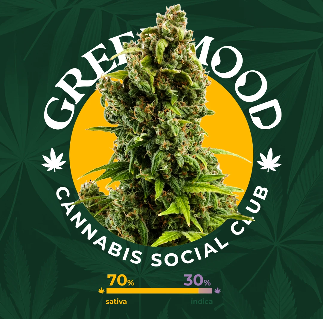 Sour Diesel - aktuell im Sortiment