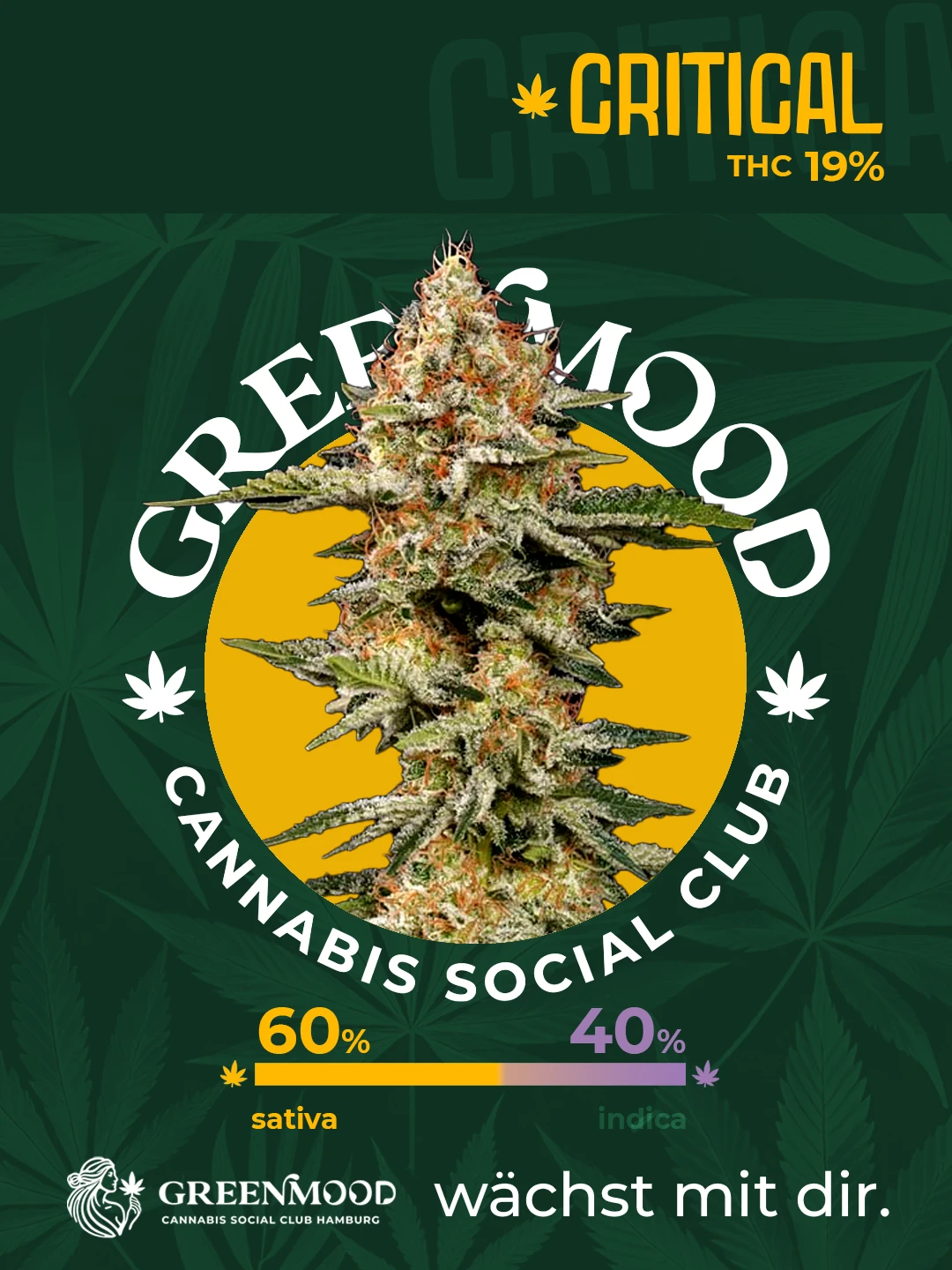 Critical - aktuell im Sortiment