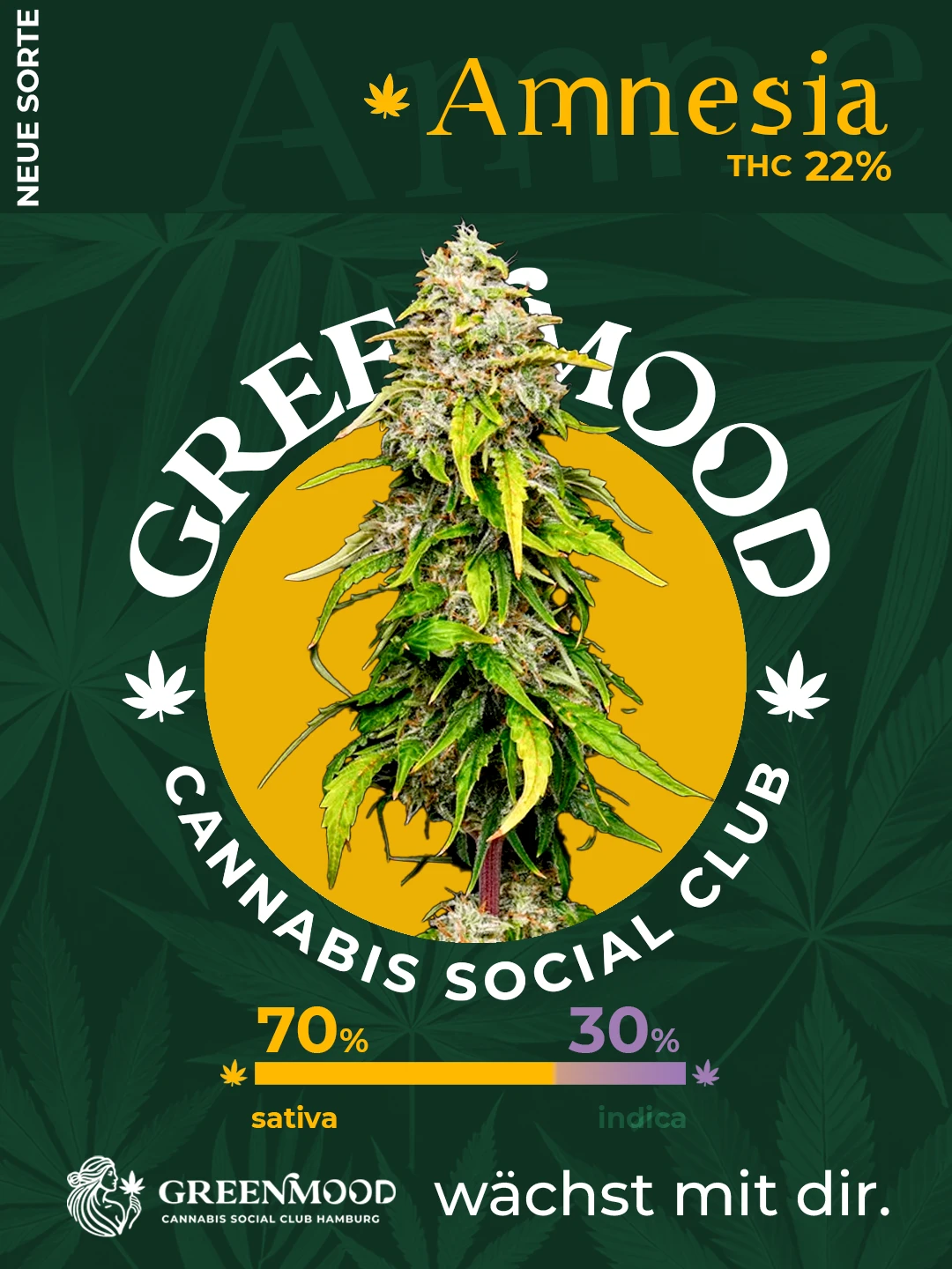 Amnesia Haze - bald verfügbar