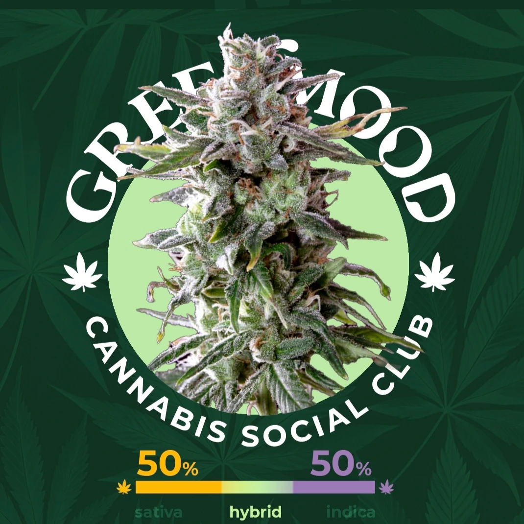 MAC 1 - aktuell im Sortiment