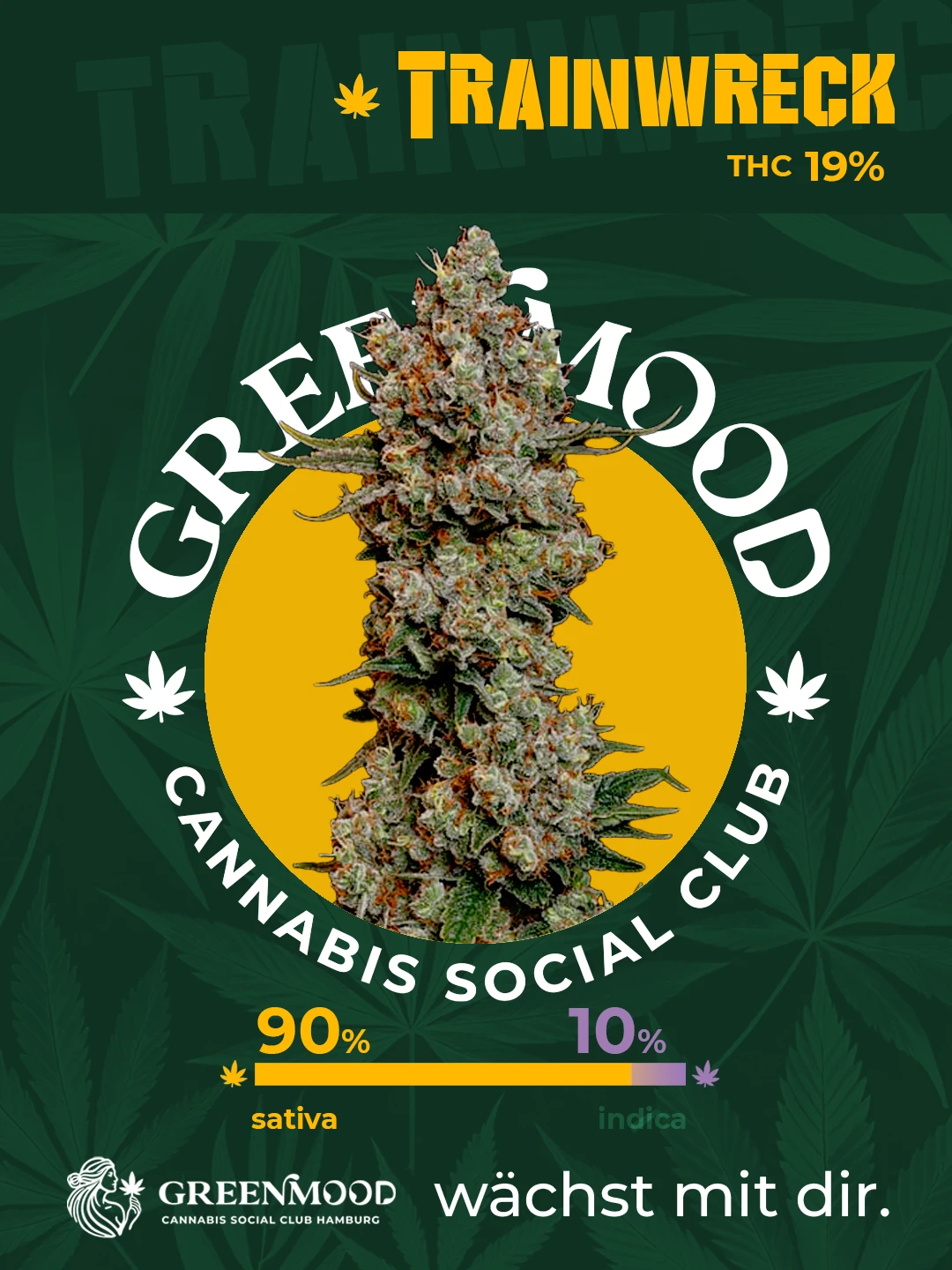 Trainwreck - bald wieder verfügbar