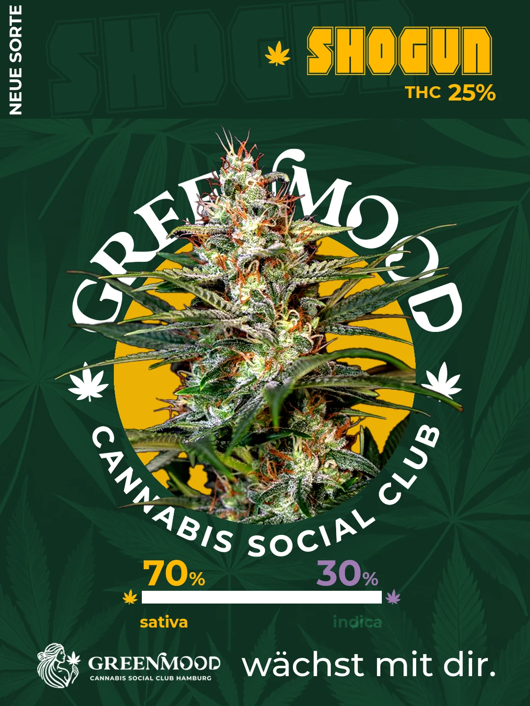 Shogun - bald verfügbar