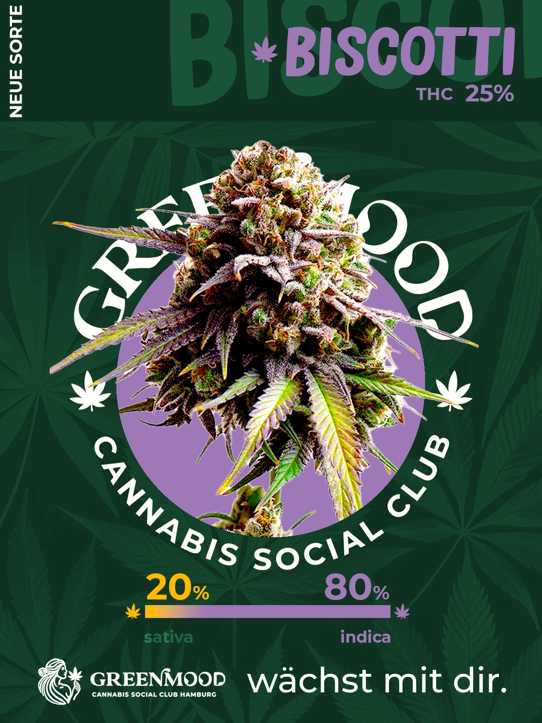 Biscotti - geplant aber noch nicht im Sortiment