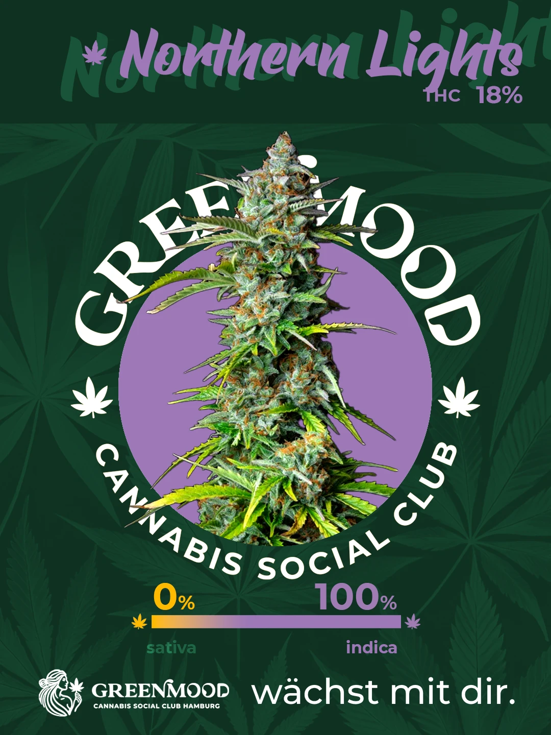 Northern Lights - geplant aber noch nicht im Sortiment