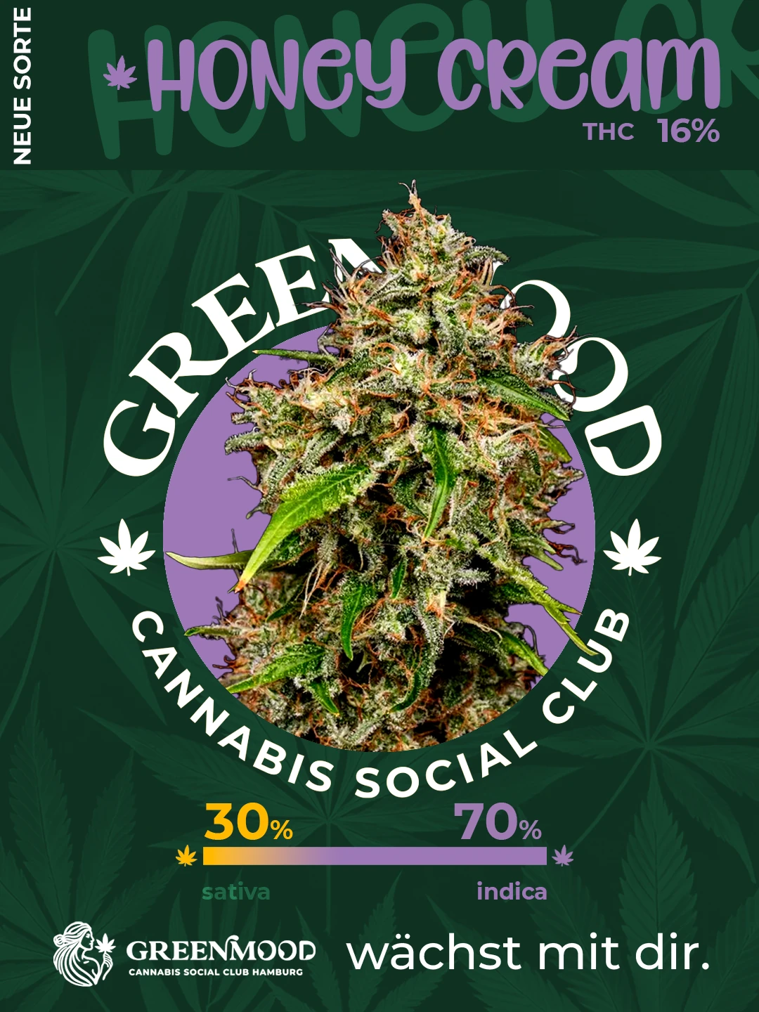 Honey Cream - geplant aber noch nicht im Sortiment