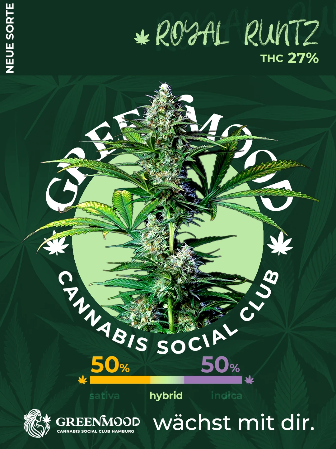 Royal Runtz - bald verfügbar