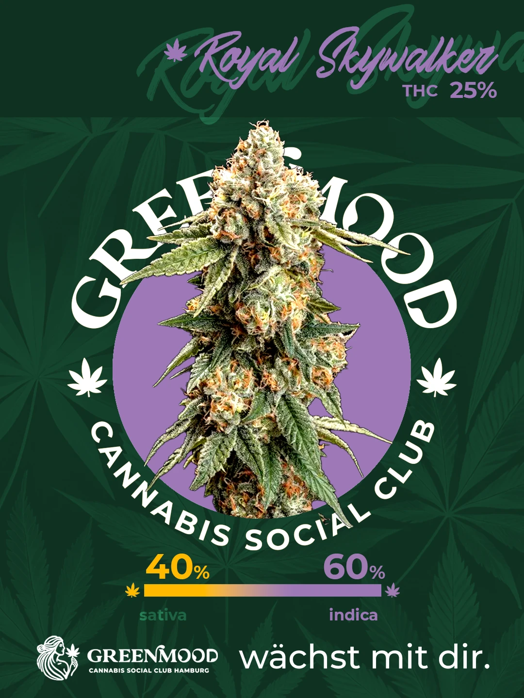 Royal Skywalker - bald verfügbar