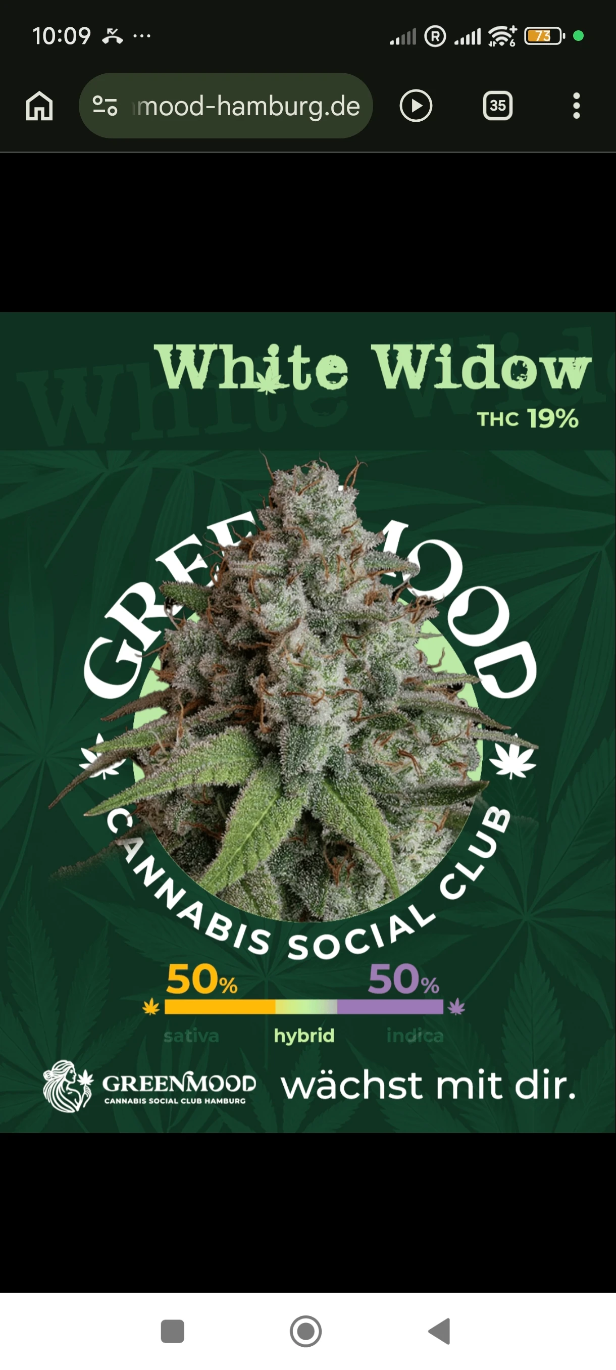 White Widow - aktuell im Sortiment