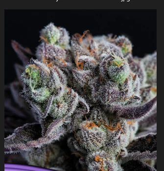 Blackberry Moonrock