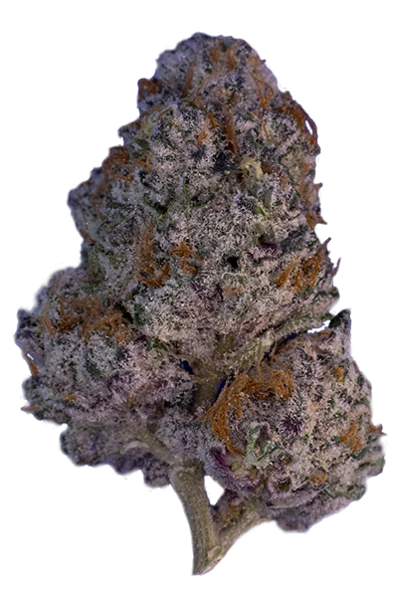 Permanent Chimera #35