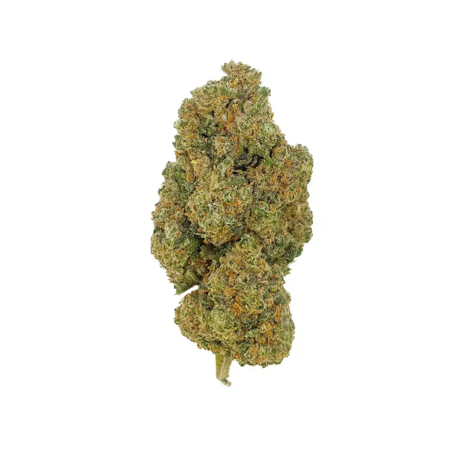 Haze G13