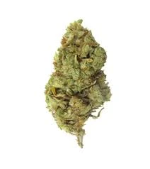 Gorilla Haze