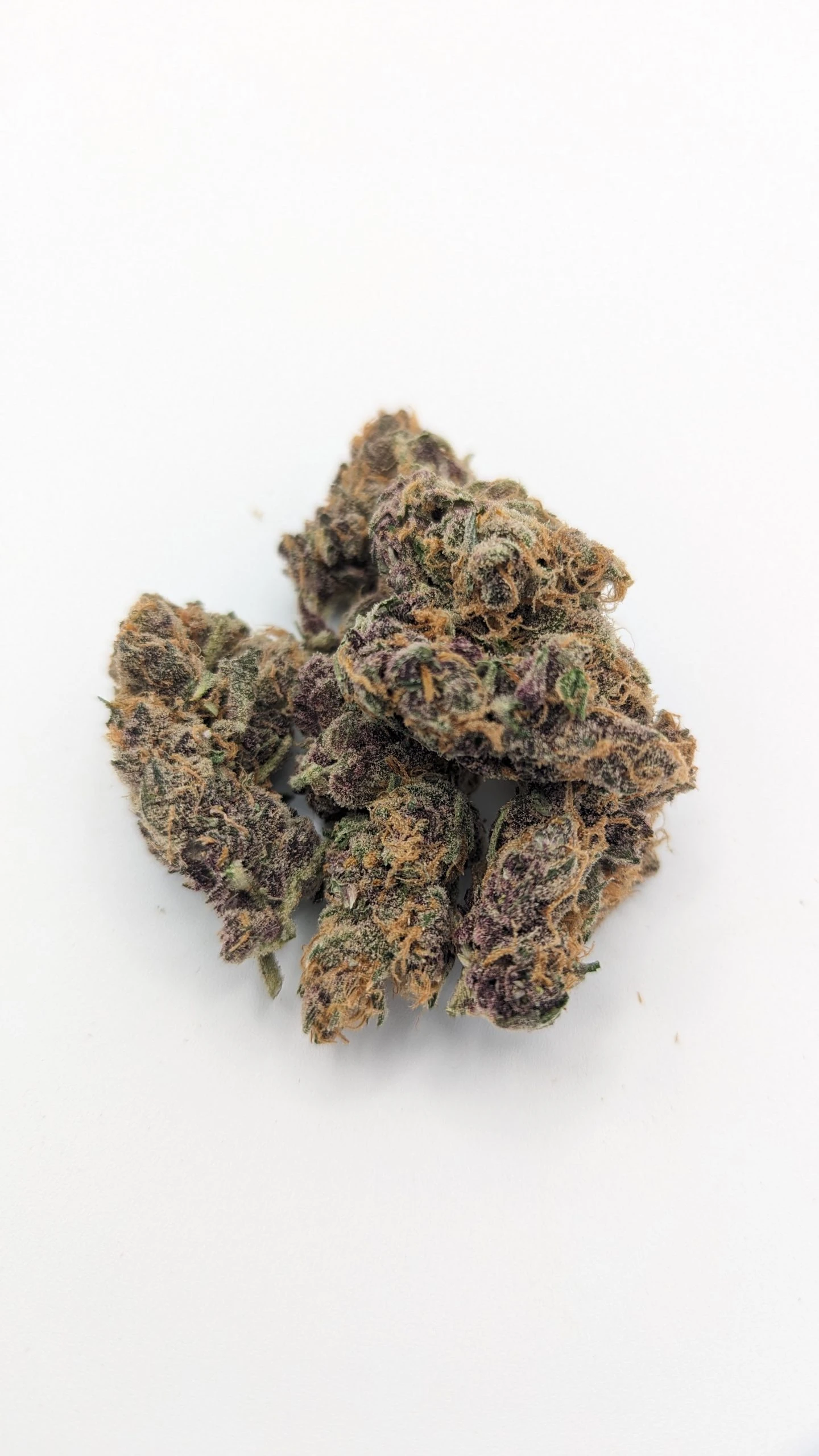 Tropicana Cookies