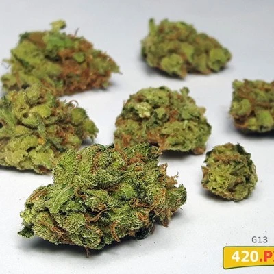 Haze 2006