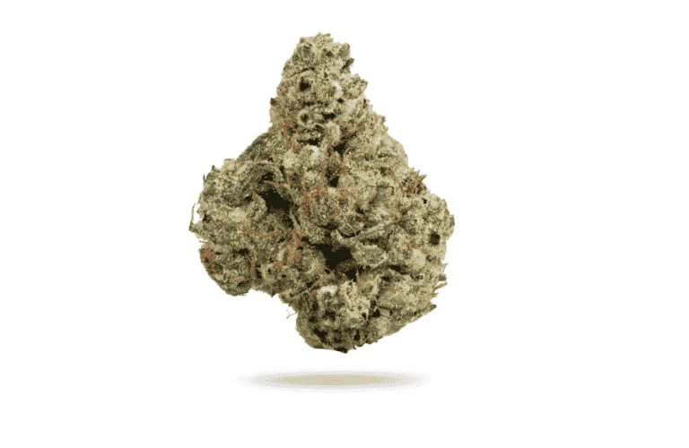 Zoap Bubbels