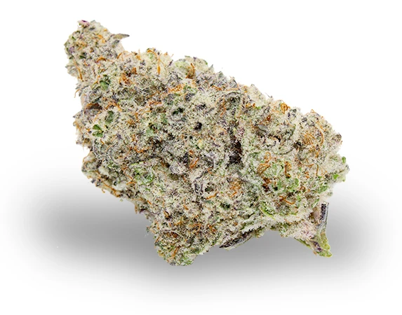 MAC1