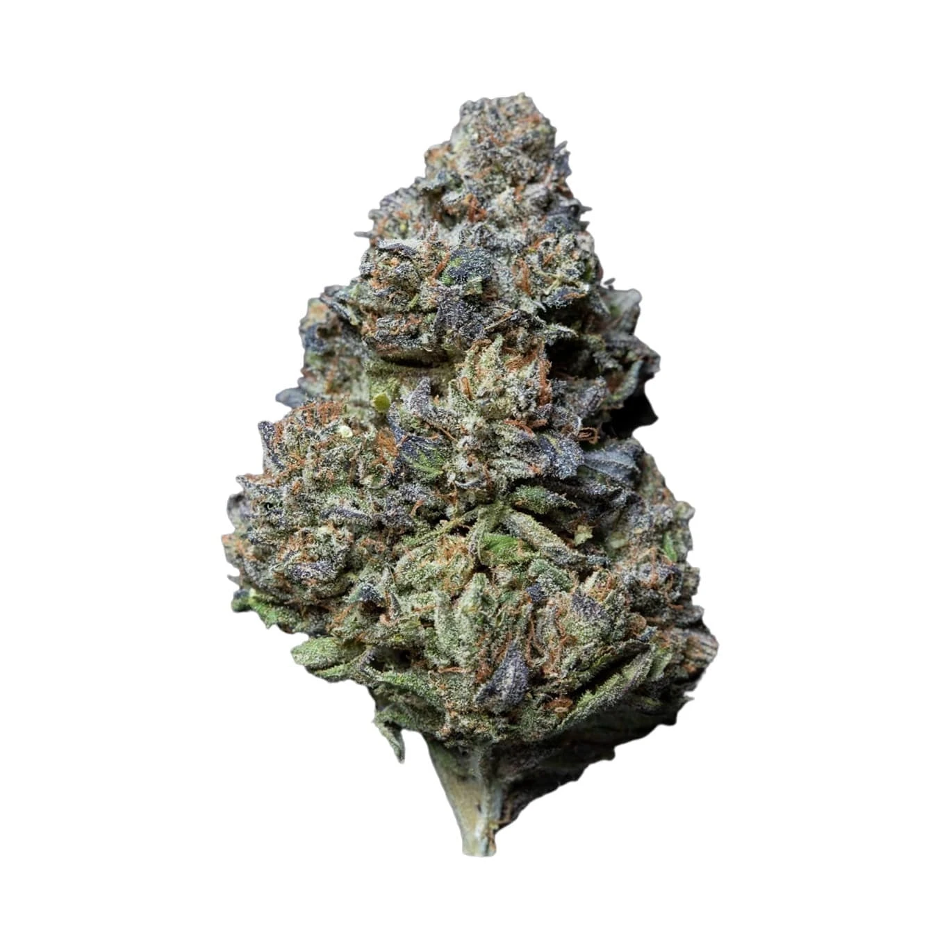 Kush Mintz