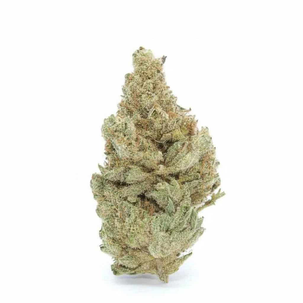 White Widow